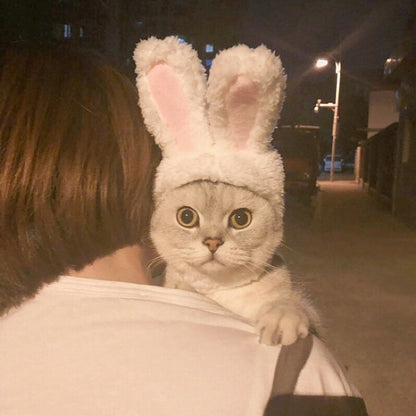 หมวกสัตว์เลี้ยงหูกระต่ายน่ารักแมวสัตว์เลี้ยง, Lovely Rabbit Ear Headgear