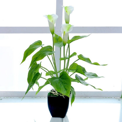 ดอกไม้ประดิษฐ์ Calla กระถางต้นไม้ตกแต่งบ้านสีเขียว