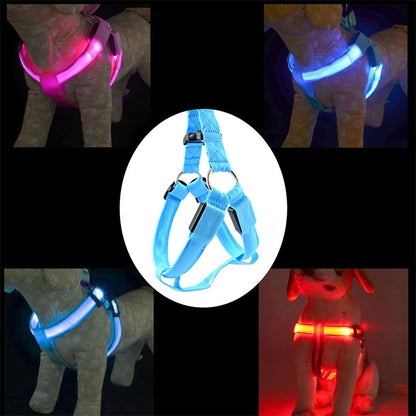 สองด้านไฟ LED สายรัดสัตว์เลี้ยงไนลอนแมวสุนัขสายรัดหน้าอกจูง, S, M