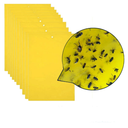 10 แพ็คสองด้าน Stick แมลงกระดานสีเหลือง BOARD Melon ผลไม้ Fly TRAP BOARD
