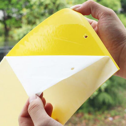 10 แพ็คสองด้าน Stick แมลงกระดานสีเหลือง BOARD Melon ผลไม้ Fly TRAP BOARD