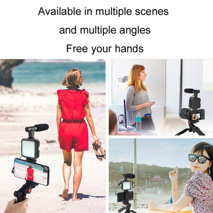 KIT-01LM การถ่ายวิดีโอ 3 ใน 1 ไฟ LED แบบพกพา ขาตั้ง ไมโครโฟนสด, Battery Models, USB Charging Model
