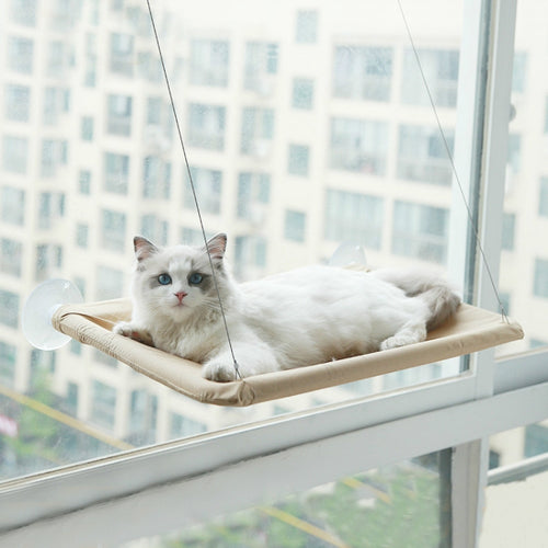 สัตว์เลี้ยงดูดถ้วย Cat Hammock หน้าต่างแขวนเปลญวน
