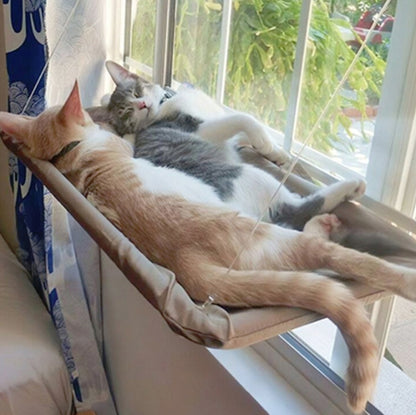 สัตว์เลี้ยงดูดถ้วย Cat Hammock หน้าต่างแขวนเปลญวน