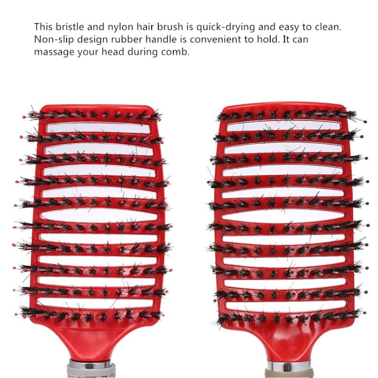 นวดผมหนังศีรษะหวี Hairbrush Bristle ไนลอนผู้หญิง CURLY Detangle แปรงผมสำหรับร้านทำผม Hairdressing เครื่องมือจัดแต่งทรงผม