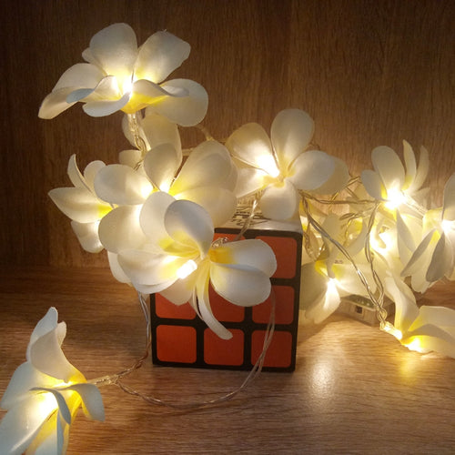 1.5 ม. 10 ไฟ LED แบตเตอรี่ขับเคลื่อนสีขาวนวลสร้างสรรค์ DIY ลีลาวดีไฟ LED เชือกดอกไม้แสงวันหยุดเหตุการณ์พรรคพวงมาลัยตกแต่งห้องนอน
