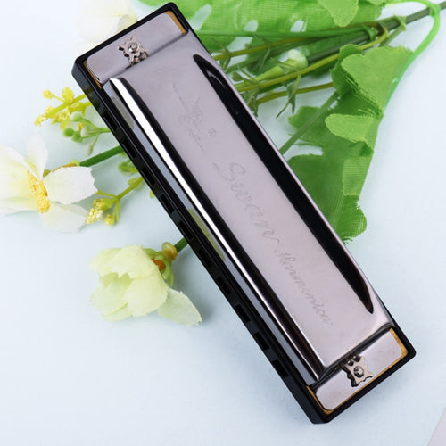 Swan 2 ชิ้น 10 หลุมเต็มรูปแบบ Bruce Harmonica เริ่มต้นเด็กนักเรียนผู้ใหญ่เล่นเครื่องดนตรี, Swan 10 Holes Bruce Harmonica