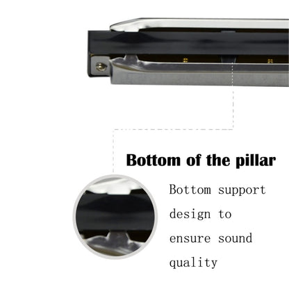 Swan 2 ชิ้น 10 หลุมเต็มรูปแบบ Bruce Harmonica เริ่มต้นเด็กนักเรียนผู้ใหญ่เล่นเครื่องดนตรี, Swan 10 Holes Bruce Harmonica