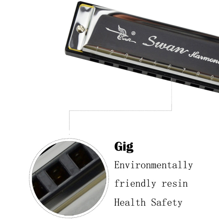 Swan 2 ชิ้น 10 หลุมเต็มรูปแบบ Bruce Harmonica เริ่มต้นเด็กนักเรียนผู้ใหญ่เล่นเครื่องดนตรี, Swan 10 Holes Bruce Harmonica