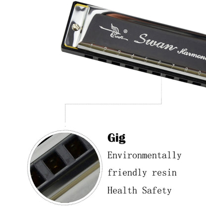Swan 2 ชิ้น 10 หลุมเต็มรูปแบบ Bruce Harmonica เริ่มต้นเด็กนักเรียนผู้ใหญ่เล่นเครื่องดนตรี, Swan 10 Holes Bruce Harmonica
