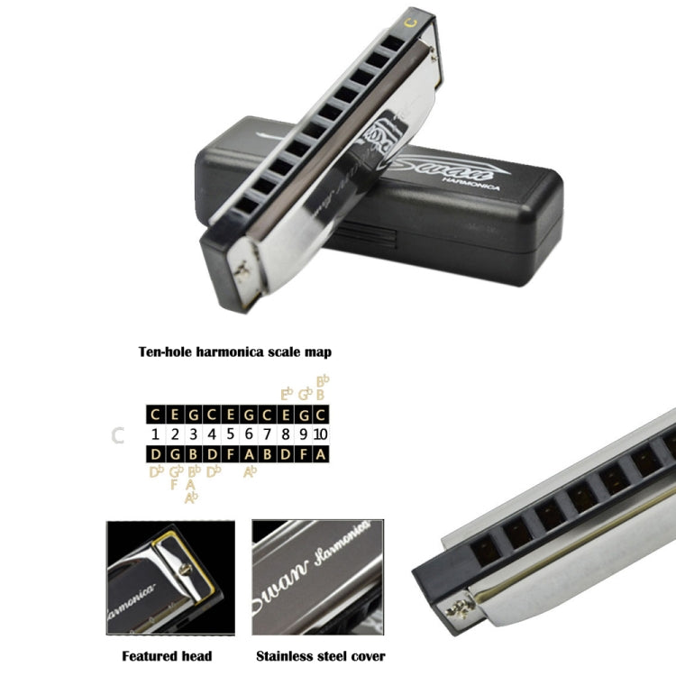 Swan 2 ชิ้น 10 หลุมเต็มรูปแบบ Bruce Harmonica เริ่มต้นเด็กนักเรียนผู้ใหญ่เล่นเครื่องดนตรี, Swan 10 Holes Bruce Harmonica