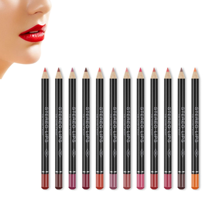 เซ็กซี่ Matte Lip Stick Lipliner Lip Liner ดินสอ Matt Nude Lipsliner ปากกาชุดเครื่องมือแต่งหน้าความงามเครื่องสำอางค์
