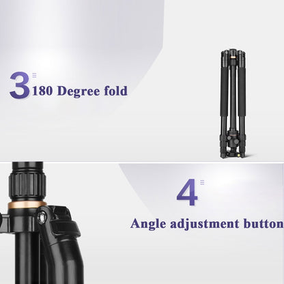Q222 แบบพกพา 4 ส่วนขาพับอลูมิเนียมอัลลอยด์ขาตั้งกล้อง Monopod Holder พร้อมหัวลูก