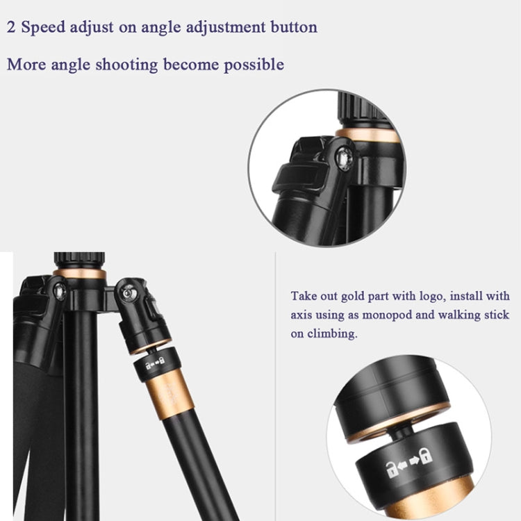 Q222 แบบพกพา 4 ส่วนขาพับอลูมิเนียมอัลลอยด์ขาตั้งกล้อง Monopod Holder พร้อมหัวลูก