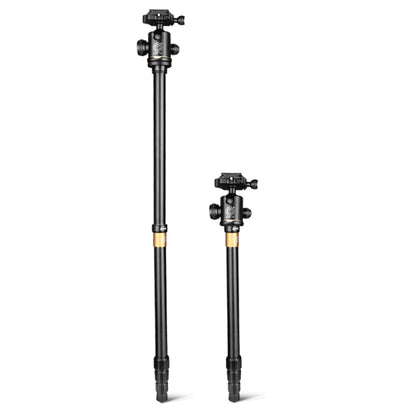 Q222 แบบพกพา 4 ส่วนขาพับอลูมิเนียมอัลลอยด์ขาตั้งกล้อง Monopod Holder พร้อมหัวลูก