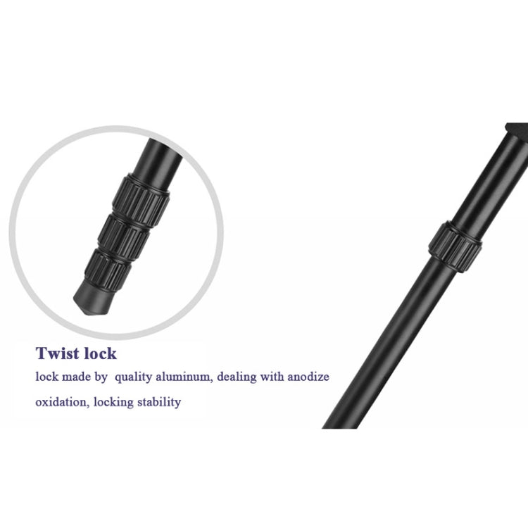 Q222 แบบพกพา 4 ส่วนขาพับอลูมิเนียมอัลลอยด์ขาตั้งกล้อง Monopod Holder พร้อมหัวลูก