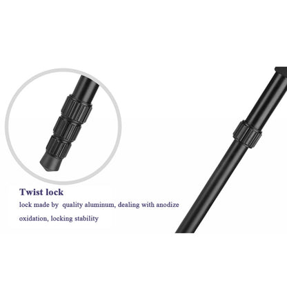 Q222 แบบพกพา 4 ส่วนขาพับอลูมิเนียมอัลลอยด์ขาตั้งกล้อง Monopod Holder พร้อมหัวลูก