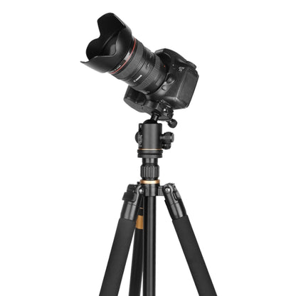 Q222 แบบพกพา 4 ส่วนขาพับอลูมิเนียมอัลลอยด์ขาตั้งกล้อง Monopod Holder พร้อมหัวลูก