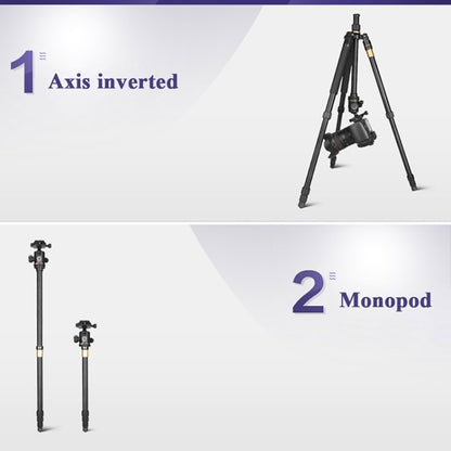 Q222 แบบพกพา 4 ส่วนขาพับอลูมิเนียมอัลลอยด์ขาตั้งกล้อง Monopod Holder พร้อมหัวลูก
