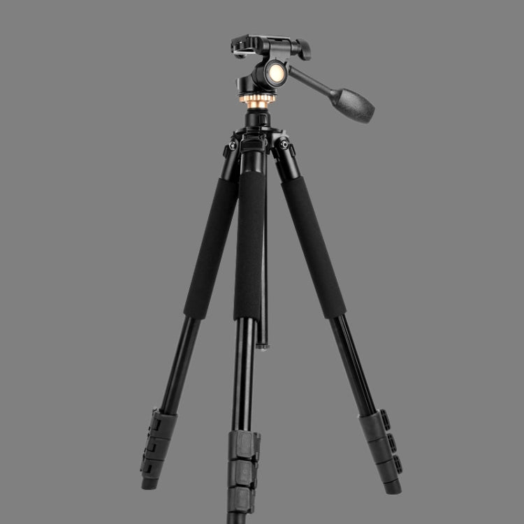 Q338 ขาพับ 4 ส่วนถ่ายทอดสดอลูมิเนียมอัลลอยด์ขาตั้งกล้อง, Q338With Three-dimensional Head, Q338 With Ball Head