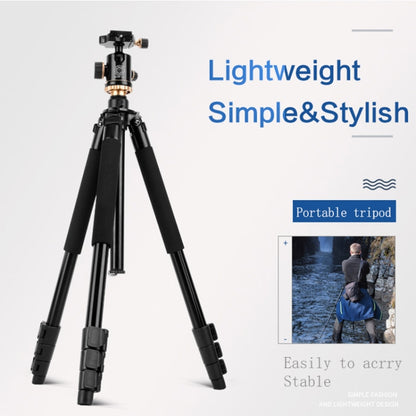 Q338 ขาพับ 4 ส่วนถ่ายทอดสดอลูมิเนียมอัลลอยด์ขาตั้งกล้อง, Q338With Three-dimensional Head, Q338 With Ball Head