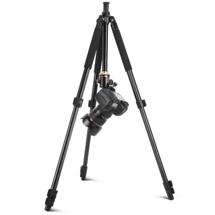 Q338 ขาพับ 4 ส่วนถ่ายทอดสดอลูมิเนียมอัลลอยด์ขาตั้งกล้อง, Q338With Three-dimensional Head, Q338 With Ball Head