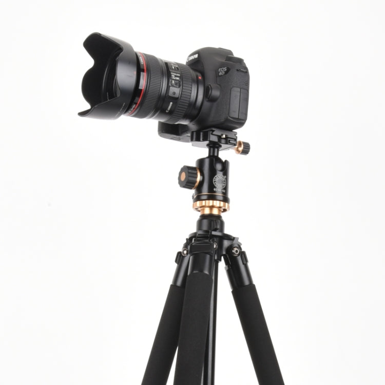 Q338 ขาพับ 4 ส่วนถ่ายทอดสดอลูมิเนียมอัลลอยด์ขาตั้งกล้อง, Q338With Three-dimensional Head, Q338 With Ball Head