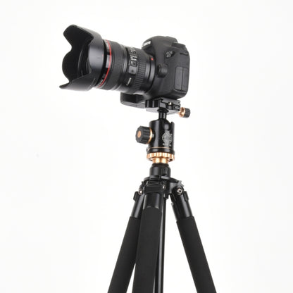 Q338 ขาพับ 4 ส่วนถ่ายทอดสดอลูมิเนียมอัลลอยด์ขาตั้งกล้อง, Q338With Three-dimensional Head, Q338 With Ball Head