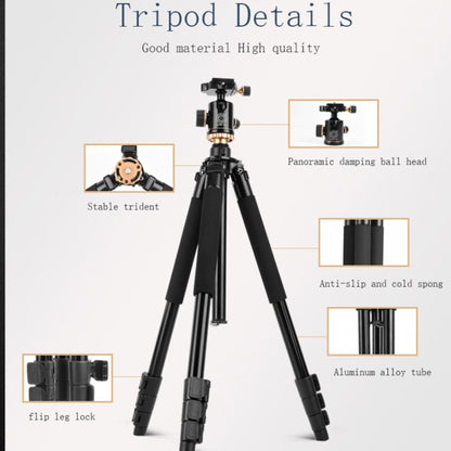 Q338 ขาพับ 4 ส่วนถ่ายทอดสดอลูมิเนียมอัลลอยด์ขาตั้งกล้อง, Q338With Three-dimensional Head, Q338 With Ball Head