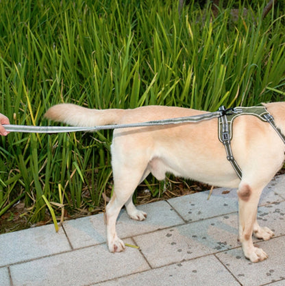 สุนัขกลางแจ้ง Anti-Scourge เชือกไนลอนสะท้อนแสงยืดยืดสุนัขเชือกเดิน, Elastic Stretch Yellow, Elastic Stretch Green