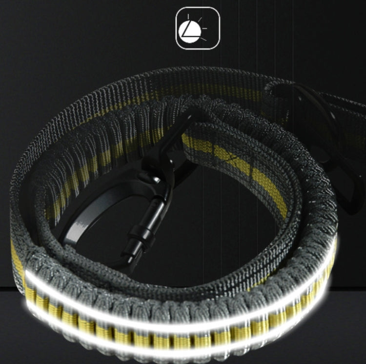 สุนัขกลางแจ้ง Anti-Scourge เชือกไนลอนสะท้อนแสงยืดยืดสุนัขเชือกเดิน, Elastic Stretch Yellow, Elastic Stretch Green