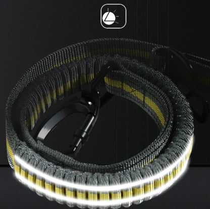 สุนัขกลางแจ้ง Anti-Scourge เชือกไนลอนสะท้อนแสงยืดยืดสุนัขเชือกเดิน, Elastic Stretch Yellow, Elastic Stretch Green