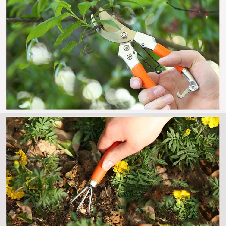 กล่องเครื่องมือฮาร์ดแวร์ 10 ใน 1 สวน ดอกไม้มือชุดเครื่องมือ, Garden Flower Hand Tool Set