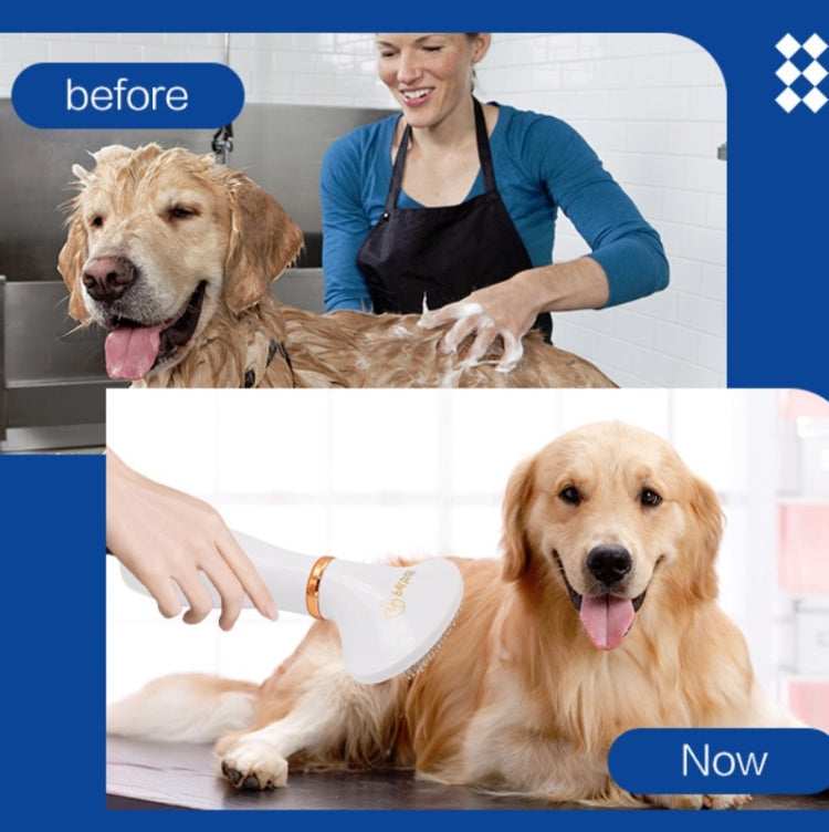 เครื่องเป่าผมสัตว์เลี้ยง Cat & Dog ทำความสะอาดหวีไฟฟ้า, US Plug, UK Plug