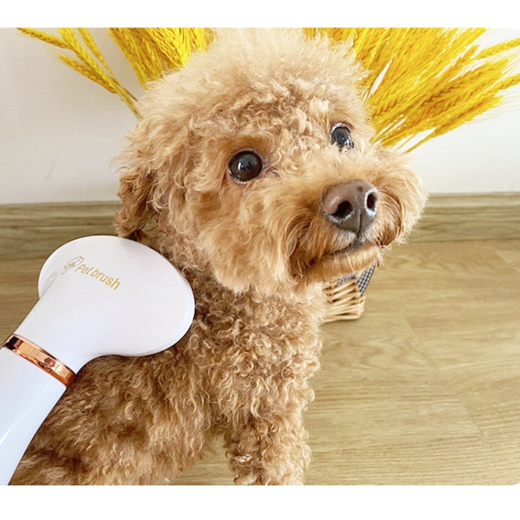 เครื่องเป่าผมสัตว์เลี้ยง Cat & Dog ทำความสะอาดหวีไฟฟ้า, US Plug, UK Plug