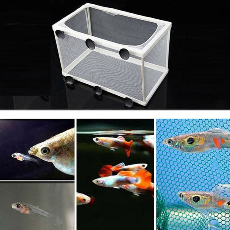 ตู้ปลาขนาดใหญ่ตู้อบปลาขนาดเล็กกล่องแยกสุทธิTropical Fish Breeding Box, Without Clapboard