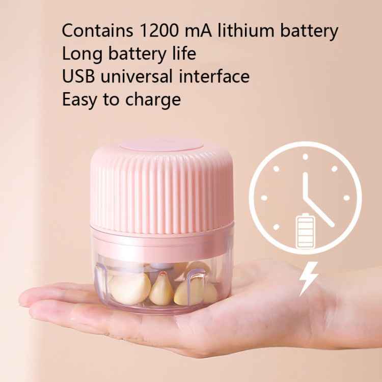 ครัวเรือนเครื่องตัดผักไฟฟ้า USB กระเทียม Masher Baby Mini เครื่องทำอาหารอาหารเสริมทารกเครื่อง, 250ml, 100ml + 250ml, 100ml