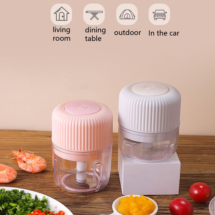 ครัวเรือนเครื่องตัดผักไฟฟ้า USB กระเทียม Masher Baby Mini เครื่องทำอาหารอาหารเสริมทารกเครื่อง, 250ml, 100ml + 250ml, 100ml