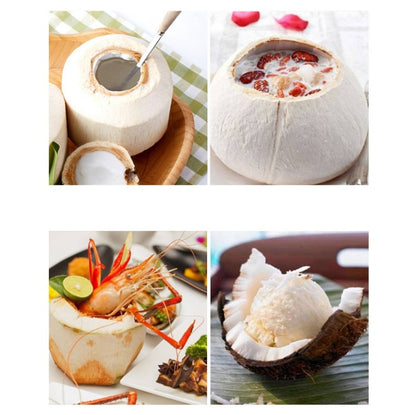 เครื่องมือเปิดมะพร้าวสแตนเลส 304 ชุดเครื่องมือโกนกะลามะพร้าว, 2 in 1 Coconut Opener