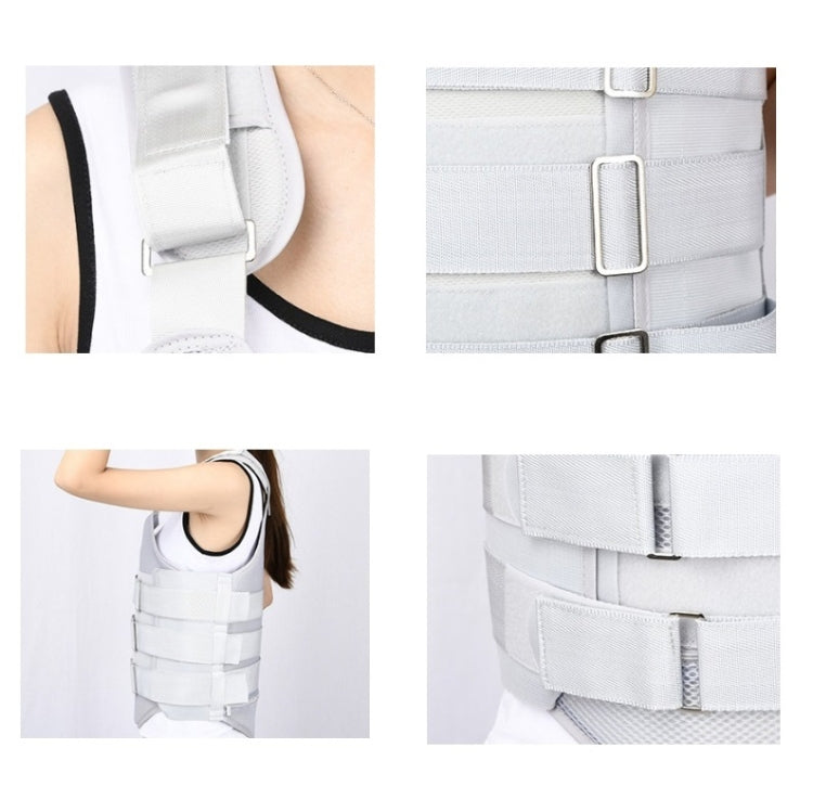 อุปกรณ์ป้องกันชนิดสายรัดเข็มขัดรัดทรวงอกพร้อมถุงลมนิรภัย, Regular Style M, Regular Style L, Regular Style XL, Mesh Style S, Mesh Style M, Mesh Style L, Mesh Style XL