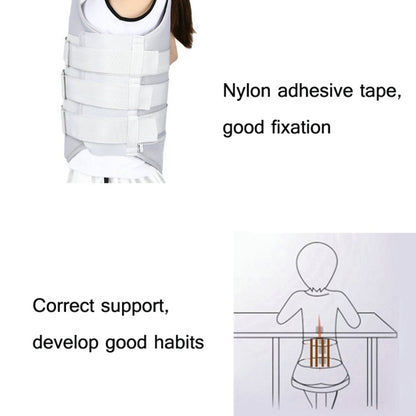 อุปกรณ์ป้องกันชนิดสายรัดเข็มขัดรัดทรวงอกพร้อมถุงลมนิรภัย, Regular Style M, Regular Style L, Regular Style XL, Mesh Style S, Mesh Style M, Mesh Style L, Mesh Style XL