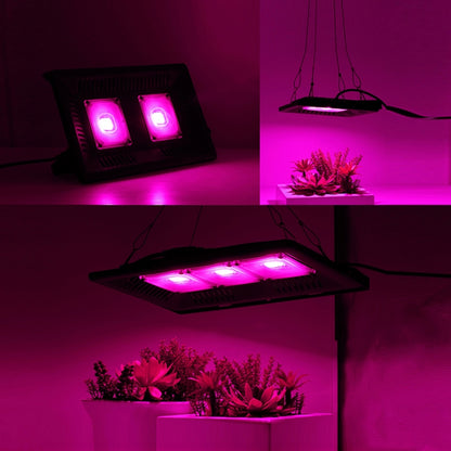แสงพืช LED บางเฉียบ, แสงเจริญเติบโตของซังเต็มสเปกตรัม, เรือนกระจกผัก, ผลไม้และดอกไม้เติมแสงโดยไม่ต้องเสียบปลั๊ก, 50W, 100W, 150W