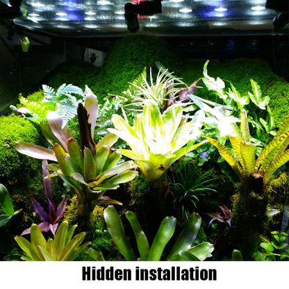 MS-PT02-A สัตว์เลื้อยคลานสัตว์เลี้ยง Breeding ภูมิทัศน์นิเวศวิทยา Rainforest ถัง Universal สเปรย์ Atomization Cooling หัวฉีด, MS-PT02-A