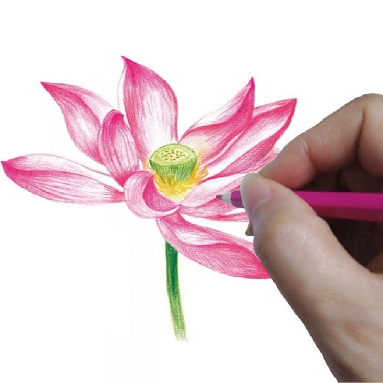 ชุดกระเป๋าดินสอสีมันหกเหลี่ยม 72 สี, 72 Color Hexagon Pencil