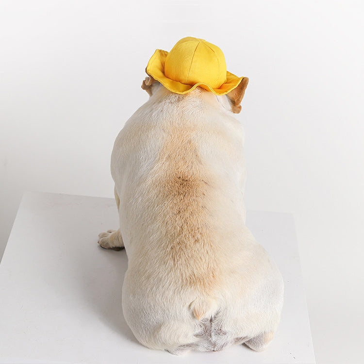 2 PCS Dog ??Hat Summer Cool Photo Decoration Pet Cat Sun Hat, S, M