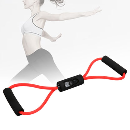 KYTO 2713 เครื่องนับเวลานับแคลอรี่แบบอิเล็กทรอนิกส์, KYTO 2713