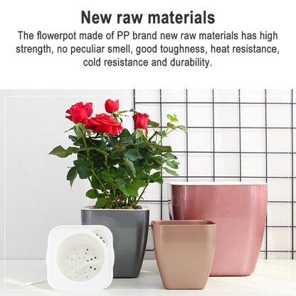 กระถางดอกไม้พลาสติกเก็บน้ำหลากสี 3 ชิ้น, G109 Medium Pot, G105 Small Pot