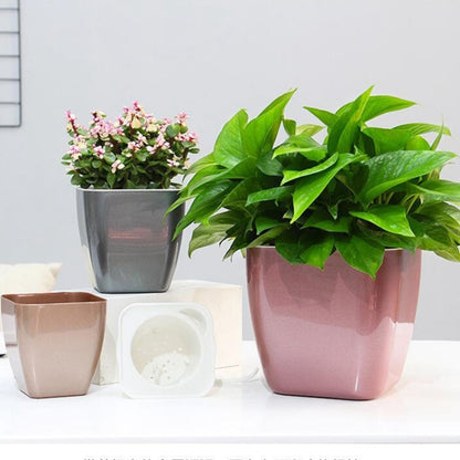 กระถางดอกไม้พลาสติกเก็บน้ำหลากสี 3 ชิ้น, G109 Medium Pot, G105 Small Pot