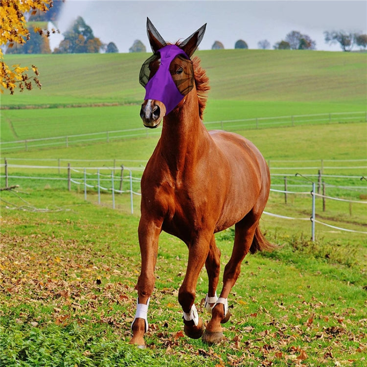 MMZ-001 หน้ากากม้าระบายอากาศยุงแมลงและอุปกรณ์ขี่ม้าหน้ากากบิน, Horse Mask (Purple), Horse Mask (Rose Red), Horse Mask (Grey), Horse Mask (Black)