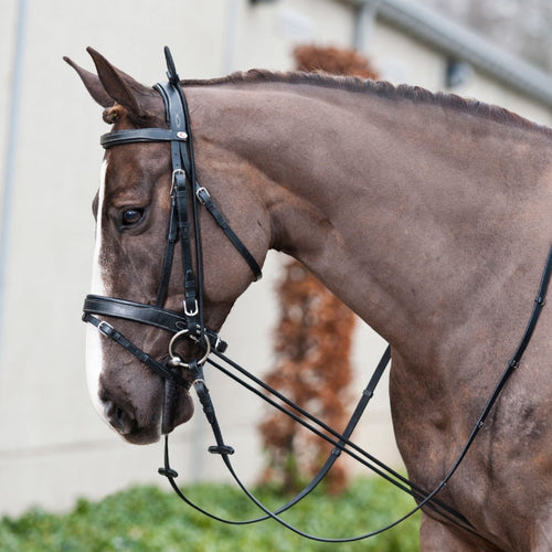 เชือกฝึกขี่ม้ายางยืดบังเหียนข้างม้า 3 ม, Horse Side Reins
